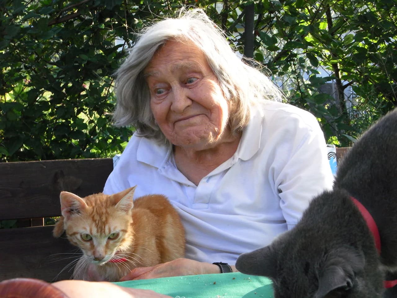 Margherita e i suoi gatti